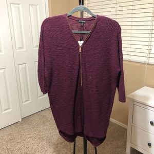 Express Maroon Half Zip Sweater NWT